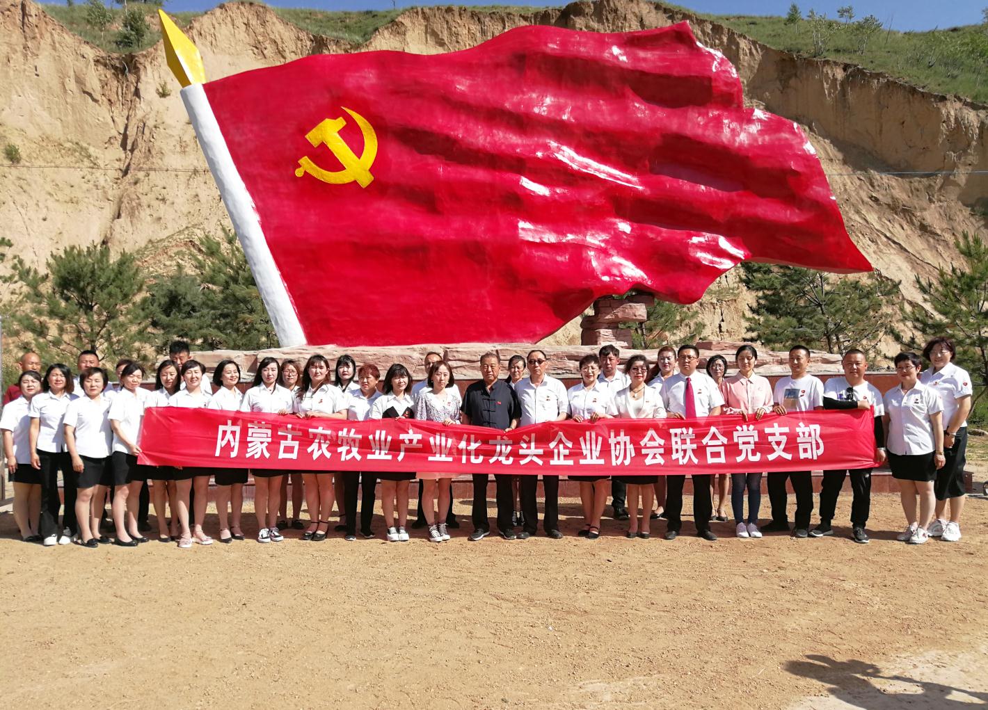 內(nèi)蒙古農(nóng)牧業(yè)產(chǎn)業(yè)化龍頭企業(yè)協(xié)會(huì)走進(jìn)石人灣村開(kāi)展“辦實(shí)事、解難題，送溫暖，傳黨恩”公益活動(dòng)
